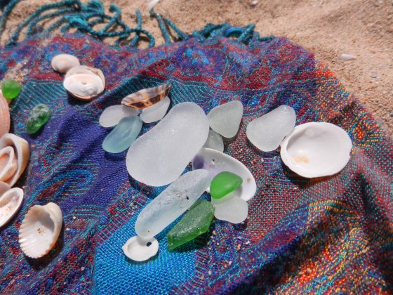 some of Lauren's treasures from the ocean