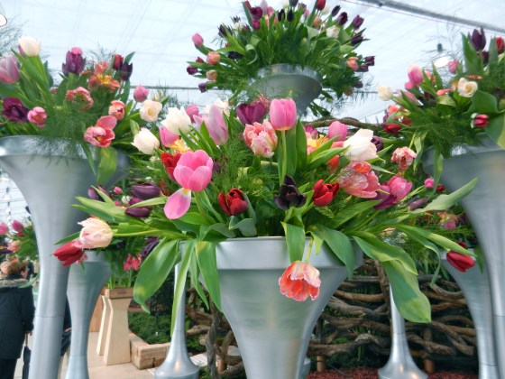 The Dutch and their spectacular flowers