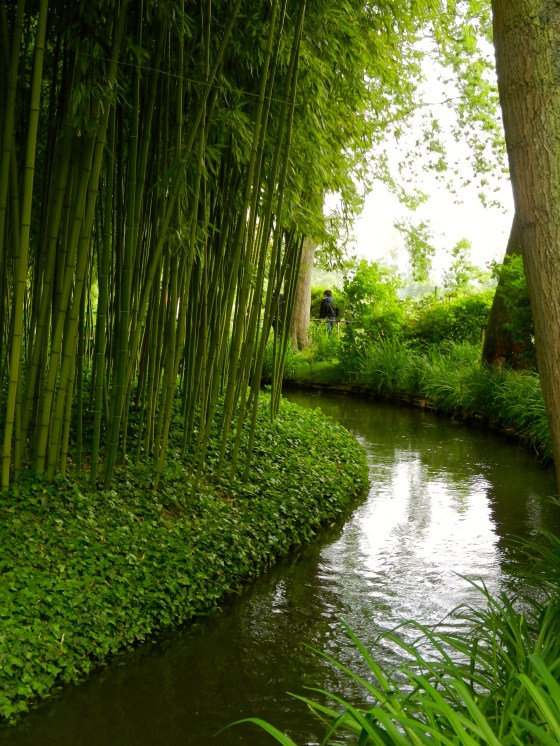 Bamboo forest in Monet's garden