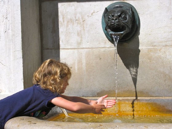 Lilly takes a drink of cool water on a very warm Swiss day
