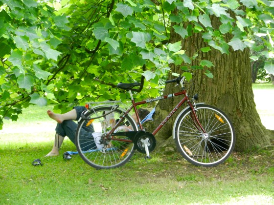 Sometimes the best part about a book is finding the  perfect place to read it
