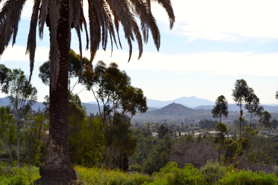 hills-of-Escondido