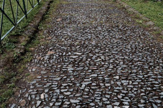 Appian-Way-Rietkerks