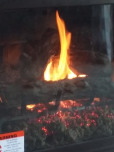 When your condo comes with a fireplace, you simply must turn it on. No matter that it's 114 degrees outside. The AC keeps us at a cool 70.